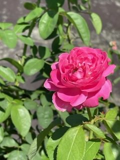 暑い夏からようやく解放